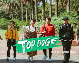 海角社区黑料吃瓜《TOP DOG》免费在线观看