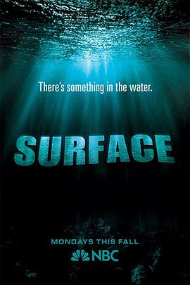 海角社区黑料吃瓜《水下之秘 Surface》免费在线观看